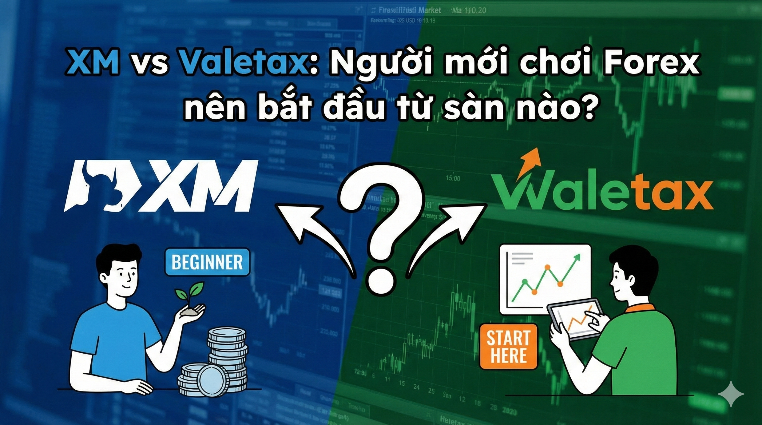 XM vs Valetax: Ai mới chơi Forex thì nên bắt đầu từ sàn nào?